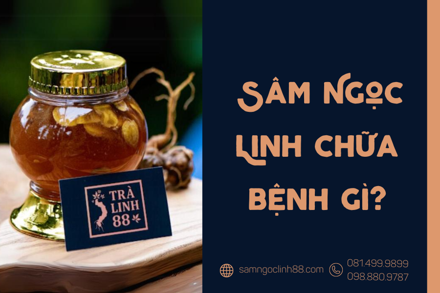 sam-ngoc-linh-chua-benh-gi