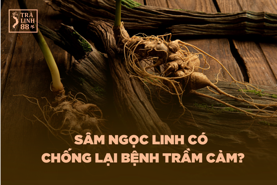 sam-ngoc-linh-chong-lai-tram-cam