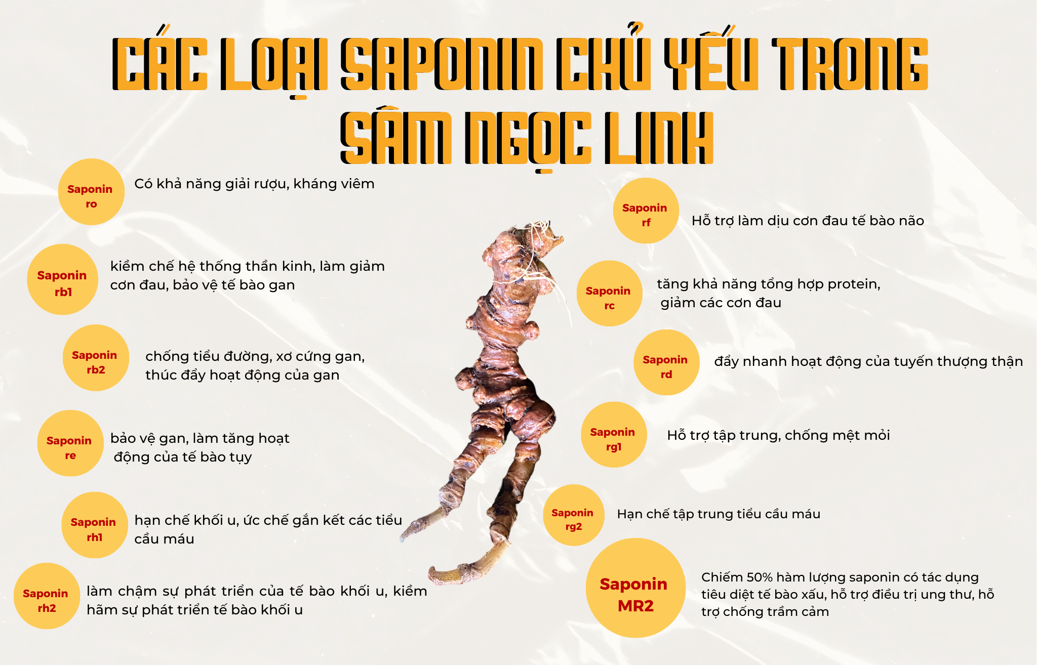Những loại Saponin quý hiếm có trong Sâm Ngọc Linh