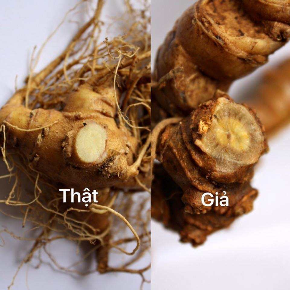 hiem-hoa-khi-su-dung-sam-ngoc-linh-gia