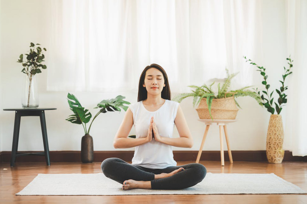 sâm ngọc linh quảng nam