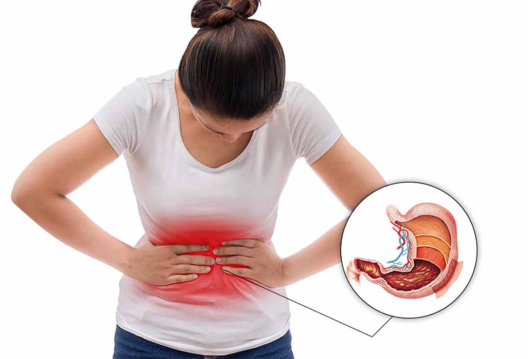 nội thất nhựa đài loan