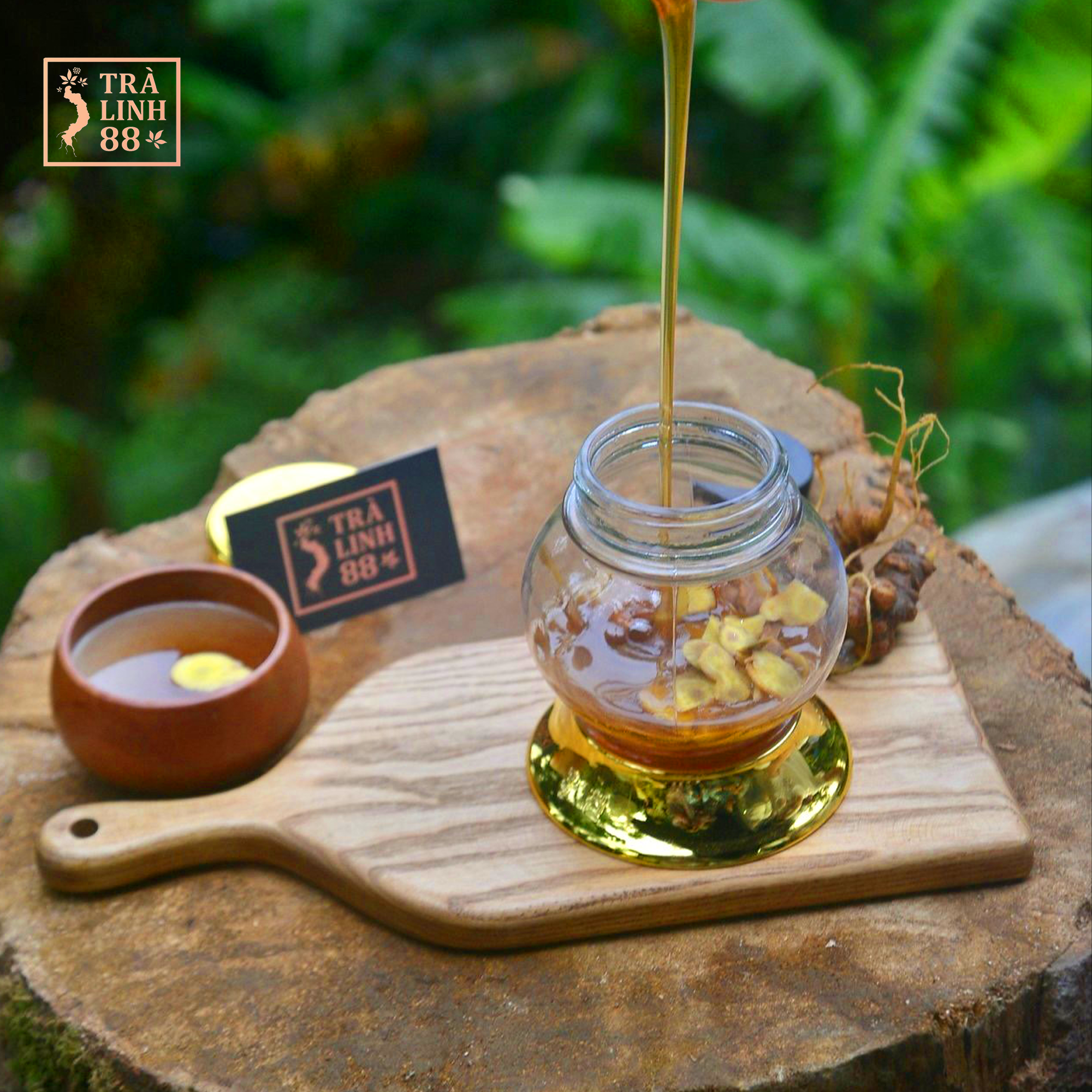 sâm ngọc linh ngâm mật ong